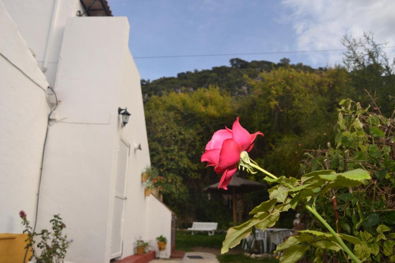 Casa La Cascada Villa El Bosque Kültér fotó